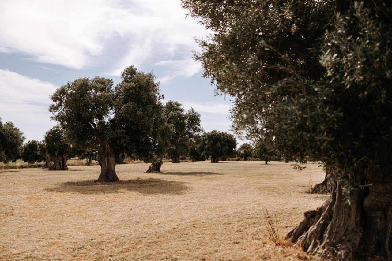 Masseria Garrappa Фазано Екстериор снимка