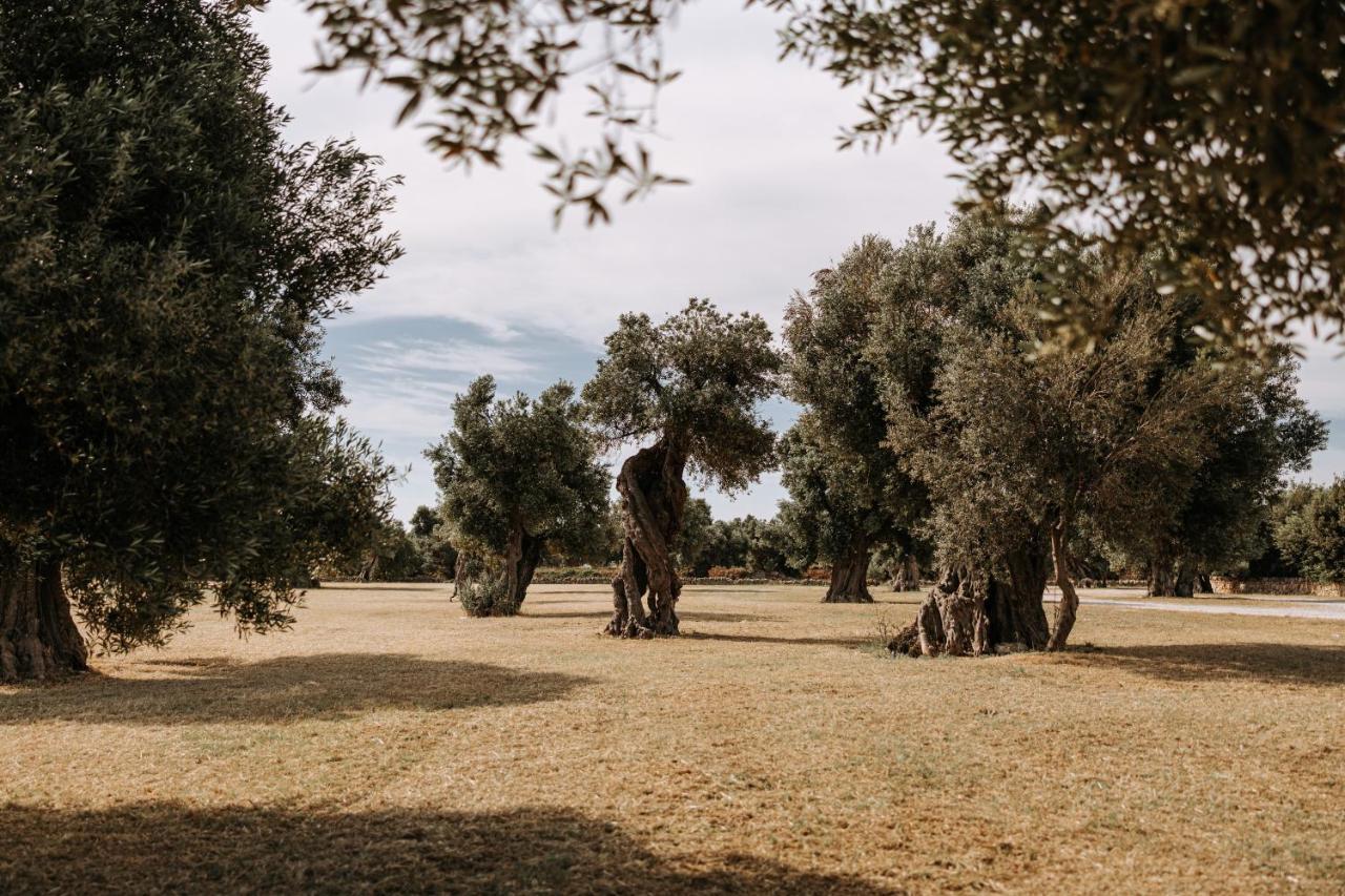 Masseria Garrappa Фазано Екстериор снимка