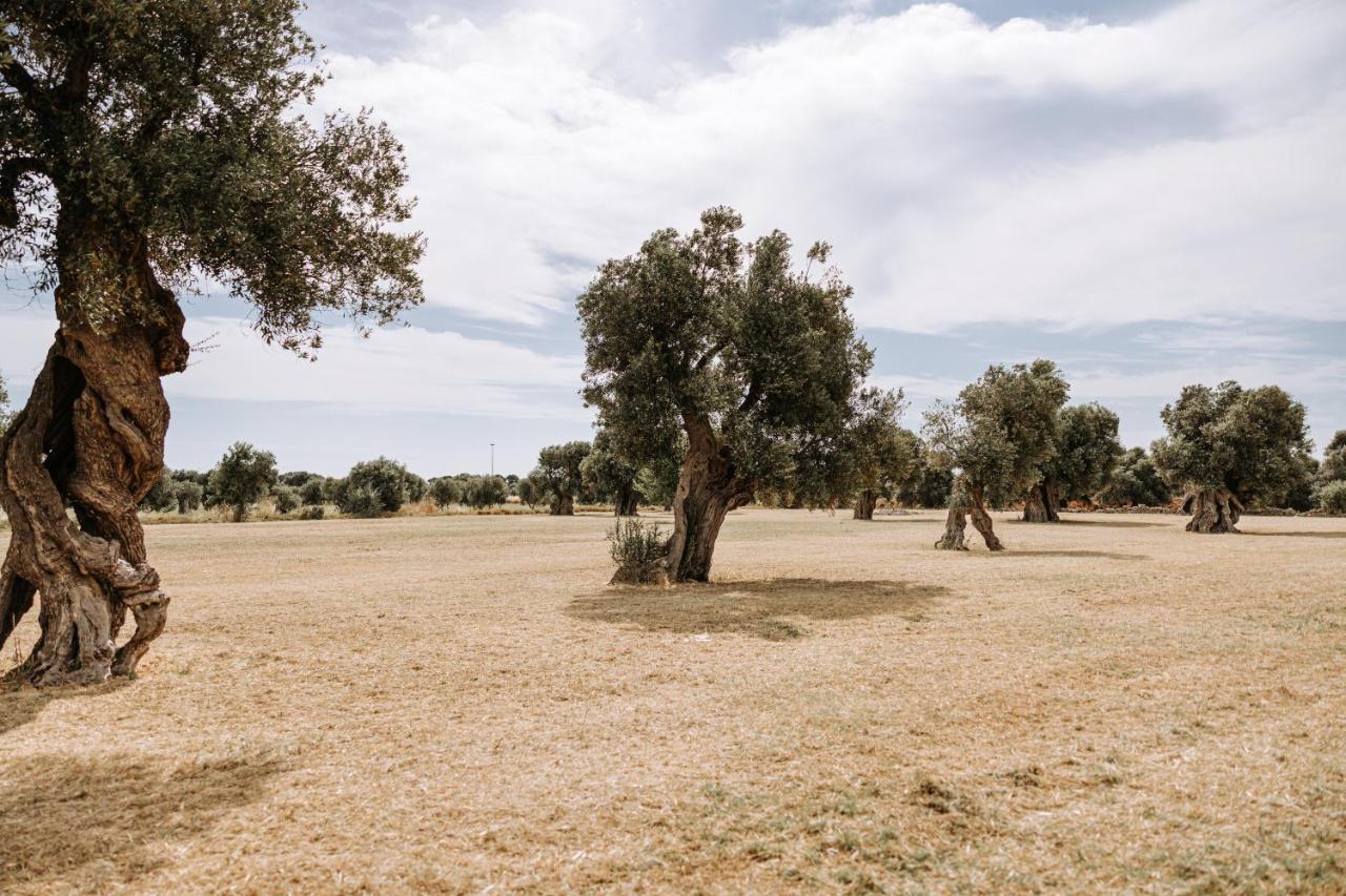 Masseria Garrappa Фазано Екстериор снимка