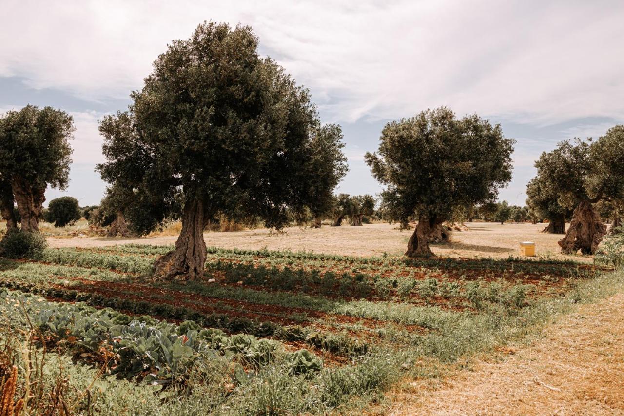 Masseria Garrappa Фазано Екстериор снимка