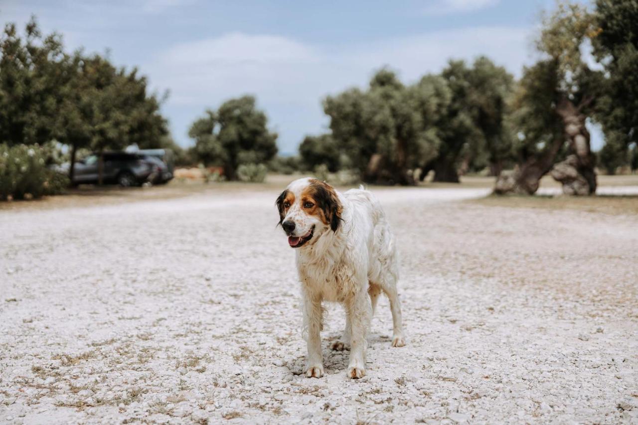 Masseria Garrappa Фазано Екстериор снимка